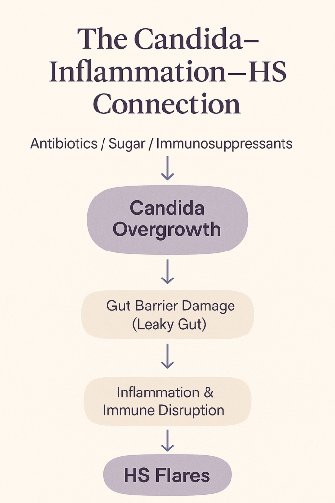 Candida and Inflammation Flow Chart